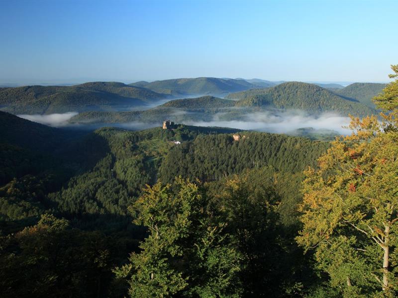 Circuit des 4 châteaux Lembach Grand Est
