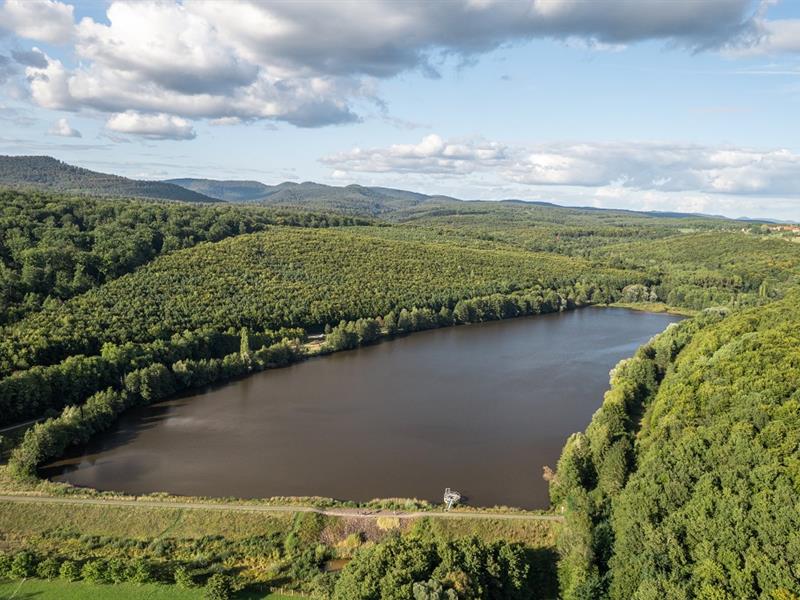 Tour du Plan d'eau de Reichshoffen Reichshoffen Grand Est