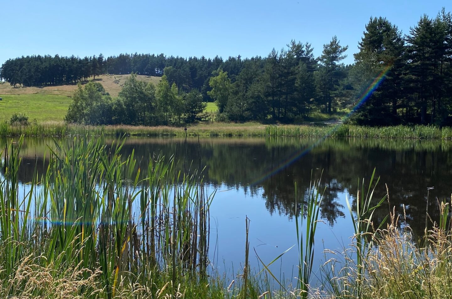 L’étang de la Rouvière VTT n°22 Saint-Alban-sur-Limagnole Occitanie L'étang de la Rouvière VTT n°22 Saint-Alban-sur-Limagnole Occitanie