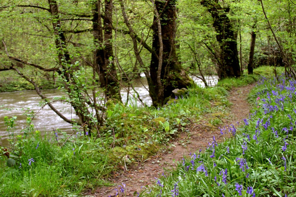 Les gorges de la Voueize Chambon-sur-Voueize Nouvelle-Aquitaine Les gorges de la Voueize Chambon-sur-Voueize Nouvelle-Aquitaine