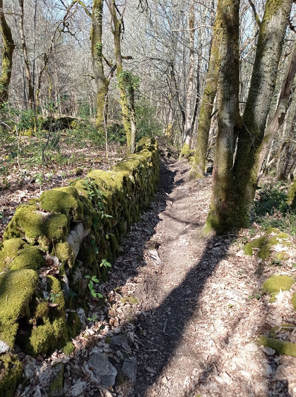 Circuit de la voie romaine Toulx-Sainte-Croix Nouvelle-Aquitaine Circuit de la voie romaine Toulx-Sainte-Croix Nouvelle-Aquitaine