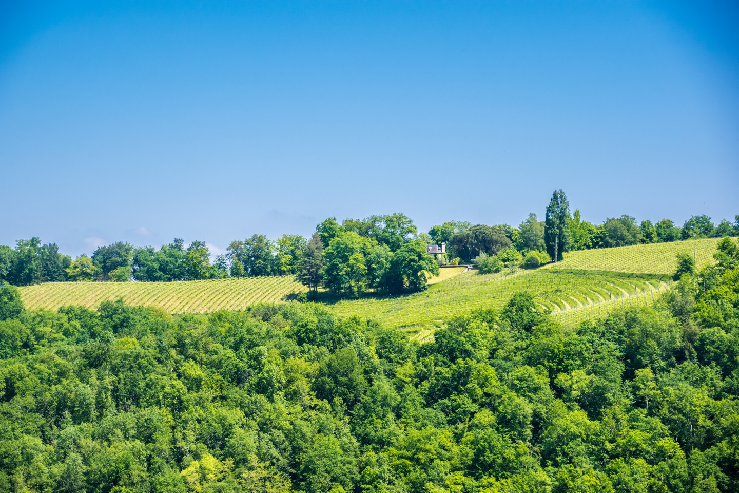 Laroin Boucle du Couday Laroin Nouvelle-Aquitaine Laroin Boucle du Couday Laroin Nouvelle-Aquitaine