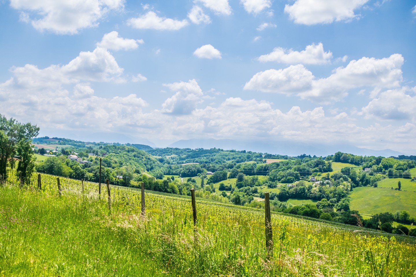 Saint-Faust Coteaux de Las Hies Saint-Faust Nouvelle-Aquitaine