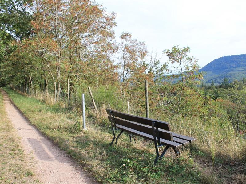 Circuit du Heyrisheck La Vancelle Grand Est