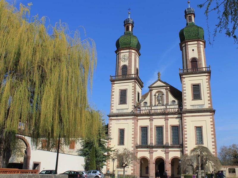 Circuit vélo entre vignoble et plaine Kintzheim Grand Est
