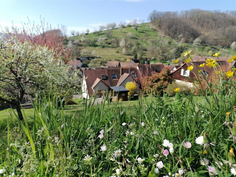 Chemin du Patrimoine « Le verre est dans le fruit » Saint-Martin Grand Est Chemin du Patrimoine "Le verre est dans le fruit" Saint-Martin Grand Est