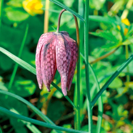 Le circuit des deux rivières Mauzé-Thouarsais Thouars Nouvelle-Aquitaine