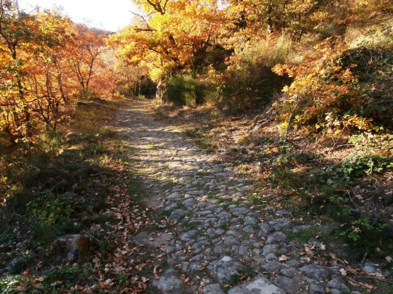 Circuit Uni’Vert Trail n°3 « Via Agrippa » Saint-Auvent Nouvelle-Aquitaine Circuit Uni'Vert Trail n°3 "Via Agrippa" Saint-Auvent Nouvelle-Aquitaine