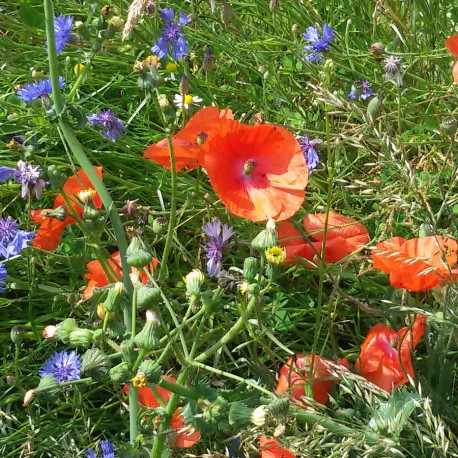 Regard sur la vallée du Thouaret Saint-Varent Nouvelle-Aquitaine