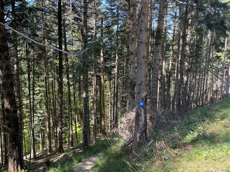 ENDURO Spéciale Brako Saint-Amarin Grand Est