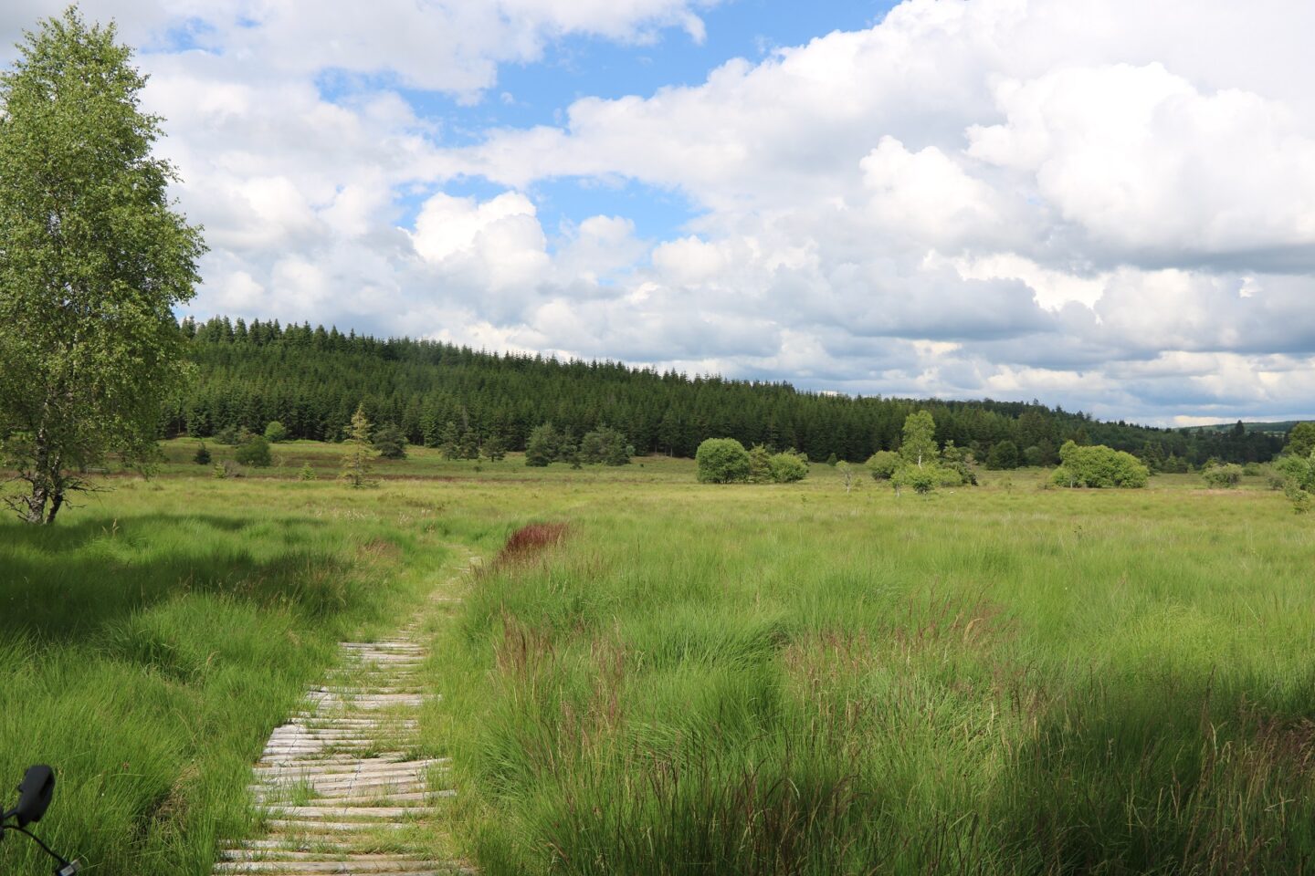 La tourbière du Longeyroux (pédestre au départ de Chavanac) Chavanac Nouvelle-Aquitaine