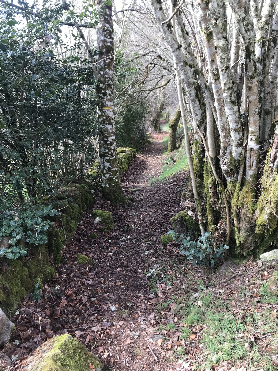 Rochers de Servières Peyrelevade Nouvelle-Aquitaine