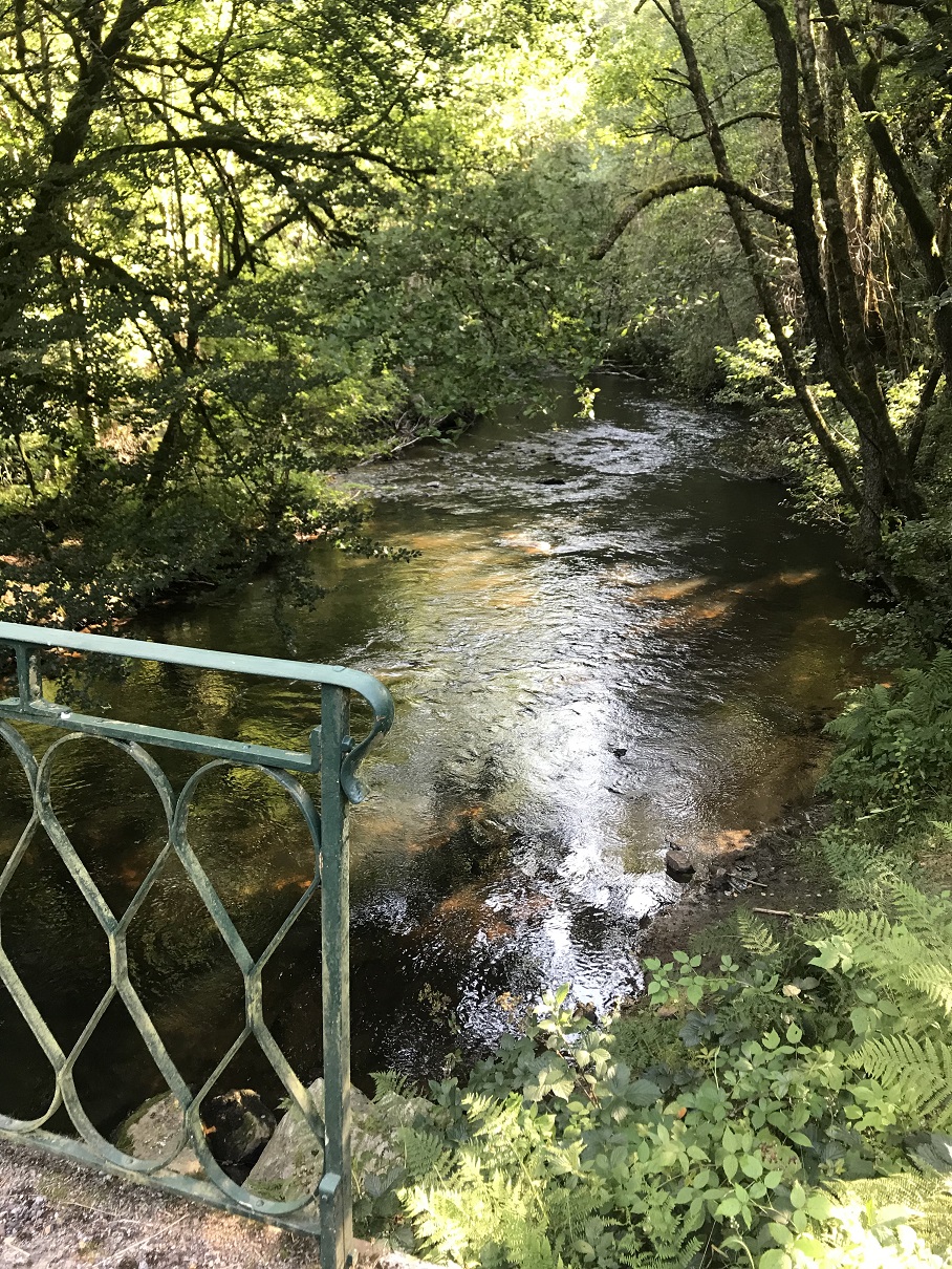 Chemins de traverse (variante de 7 km) Saint-Pardoux-le-Vieux Nouvelle-Aquitaine