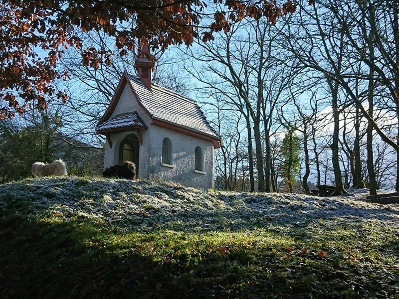Balade le village de Willer-sur-Thur Willer-sur-Thur Grand Est Balade le village de Willer-sur-Thur Willer-sur-Thur Grand Est
