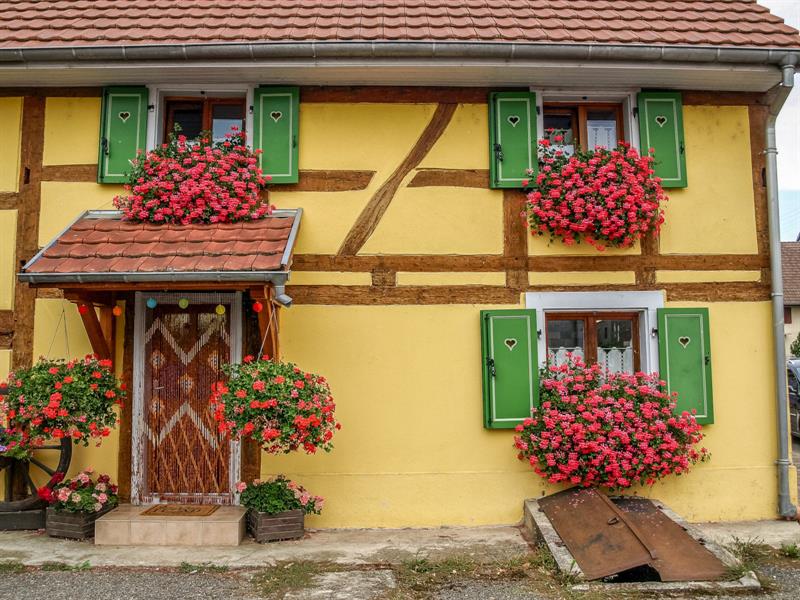 Sentier de découverte de Werentzhouse Werentzhouse Grand Est Sentier de découverte de Werentzhouse Werentzhouse Grand Est