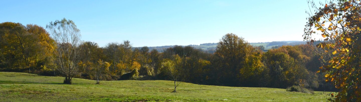 La Nauraie Circuit n°41 Pleumartin Nouvelle-Aquitaine