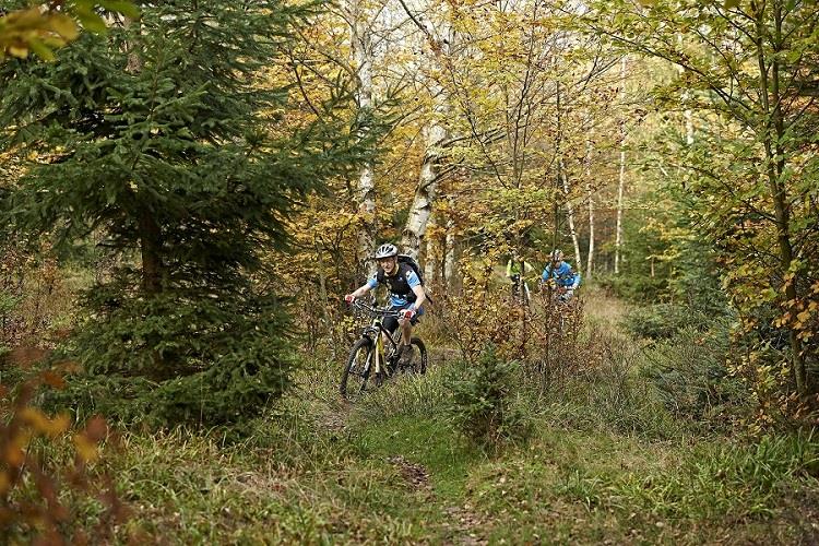 Circuit VTT 11 Le Geisweg Wangenbourg-Engenthal Grand Est