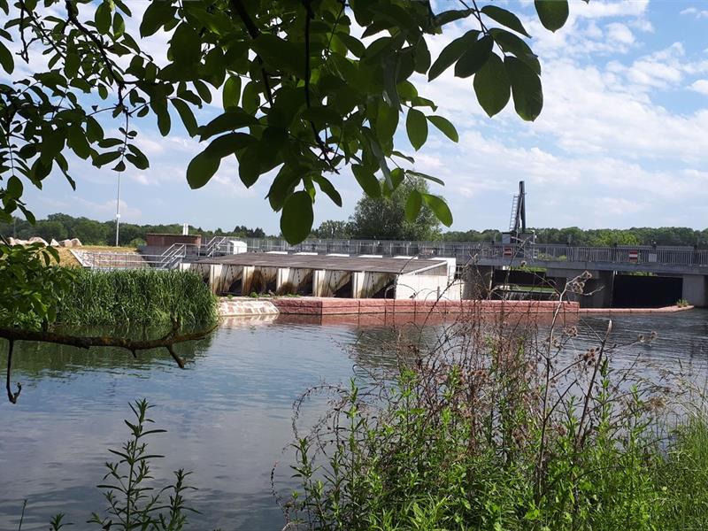 Sentier du Bronnwasser Osthouse Grand Est