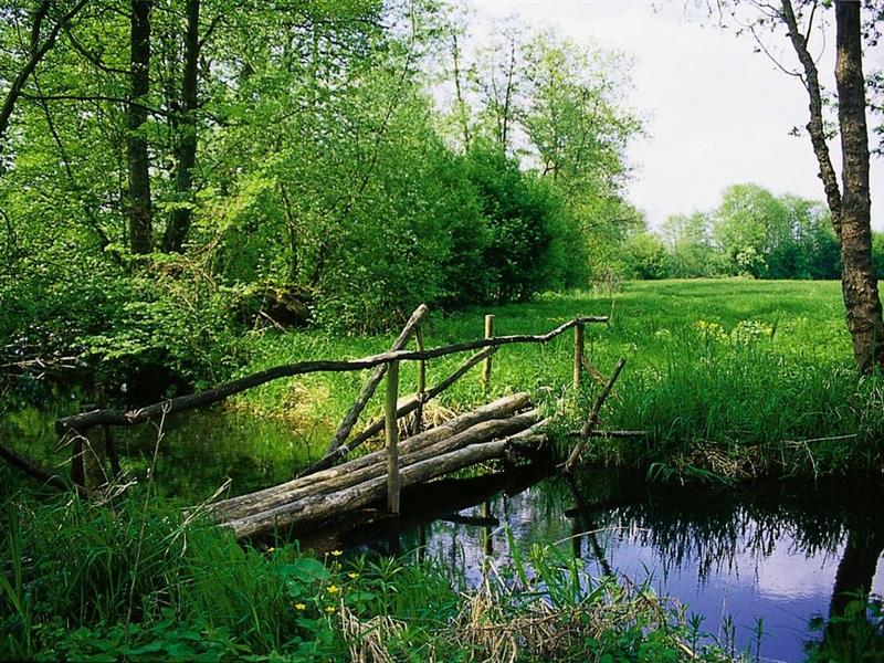 Circuit de la Lutter Benfeld Grand Est Circuit de la Lutter Benfeld Grand Est