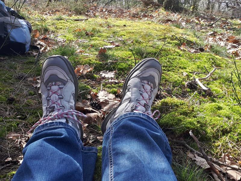 Circuit des oies sauvages Hindisheim Grand Est