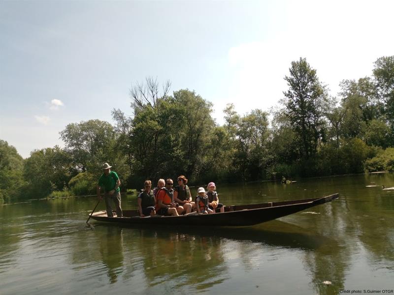 BL976 Jungle Rhénane Boofzheim Grand Est