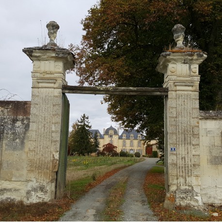 Les bois de Rigny Saint-Léger-de-Montbrun Nouvelle-Aquitaine