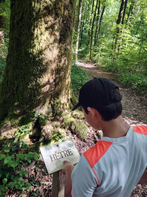 Boucle des Chartreux Tannay Grand Est