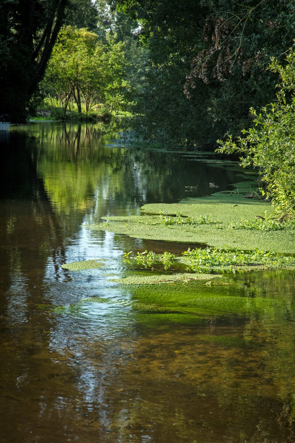 Le val de Conie n°28 Orgères-en-Beauce Centre-Val de Loire Le val de Conie n°28 Orgères-en-Beauce Centre-Val de Loire