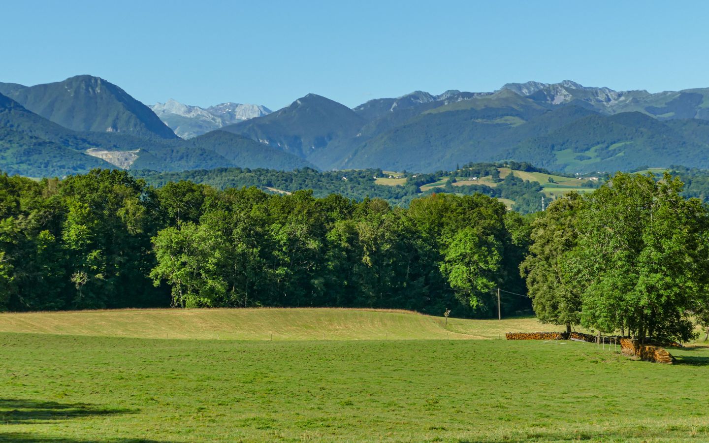 Bois de Coarraze Coarraze Nouvelle-Aquitaine Bois de Coarraze Coarraze Nouvelle-Aquitaine