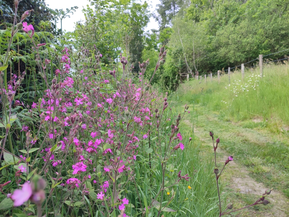 Circuit VTT n°3 De Saint-Léonard-de-Noblat à Saint-Paul Saint-Léonard-de-Noblat Nouvelle-Aquitaine