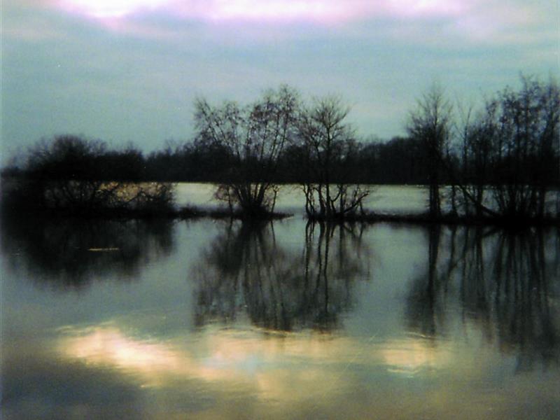 Le sentier de la gravière Bischwiller Grand Est