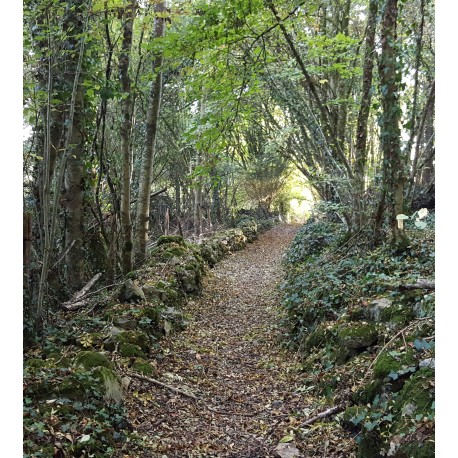Base VTT du Lambon / Itinéraire vtt n°2 La Bouctière Prailles-La Couarde Nouvelle-Aquitaine