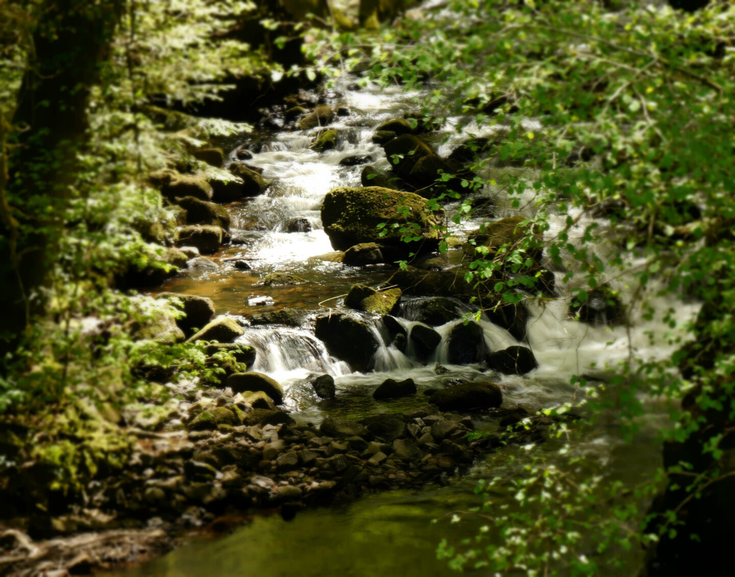 Circuit n°7 Chemins des 3 Corrèzes Tulle Nouvelle-Aquitaine