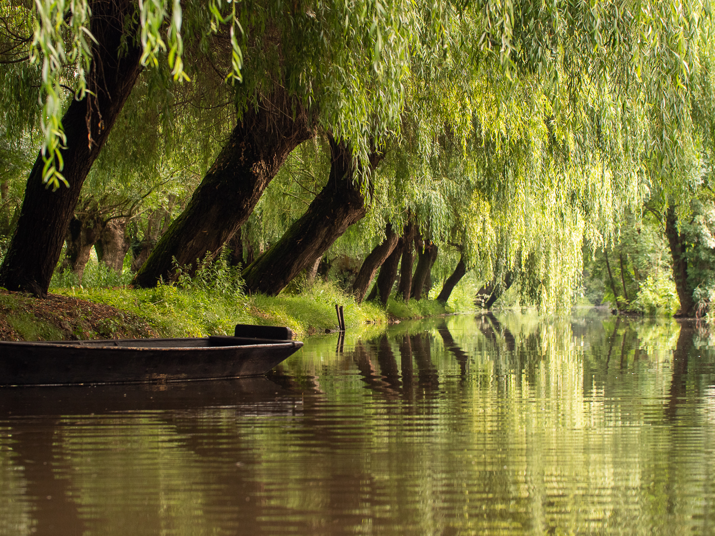 Excursion familiale en canoë kayak dans le marais du Vanneau par Romain Gaillard Le Vanneau-Irleau Nouvelle-Aquitaine