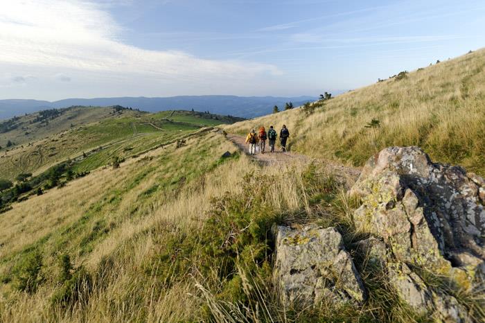 TMV® Traversée du Massif des Vosges à VTT Châtenois Thann Châtenois Grand Est