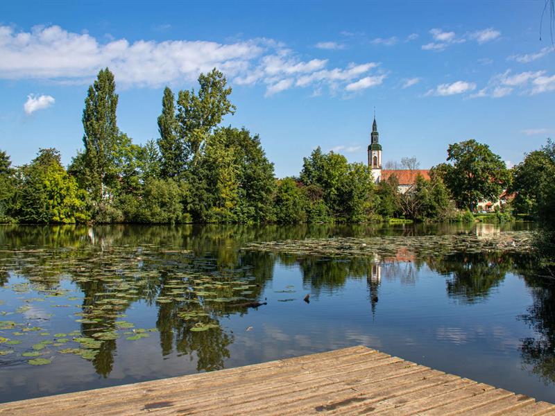 BL463 Plans d’eau et matelote Boofzheim Grand Est