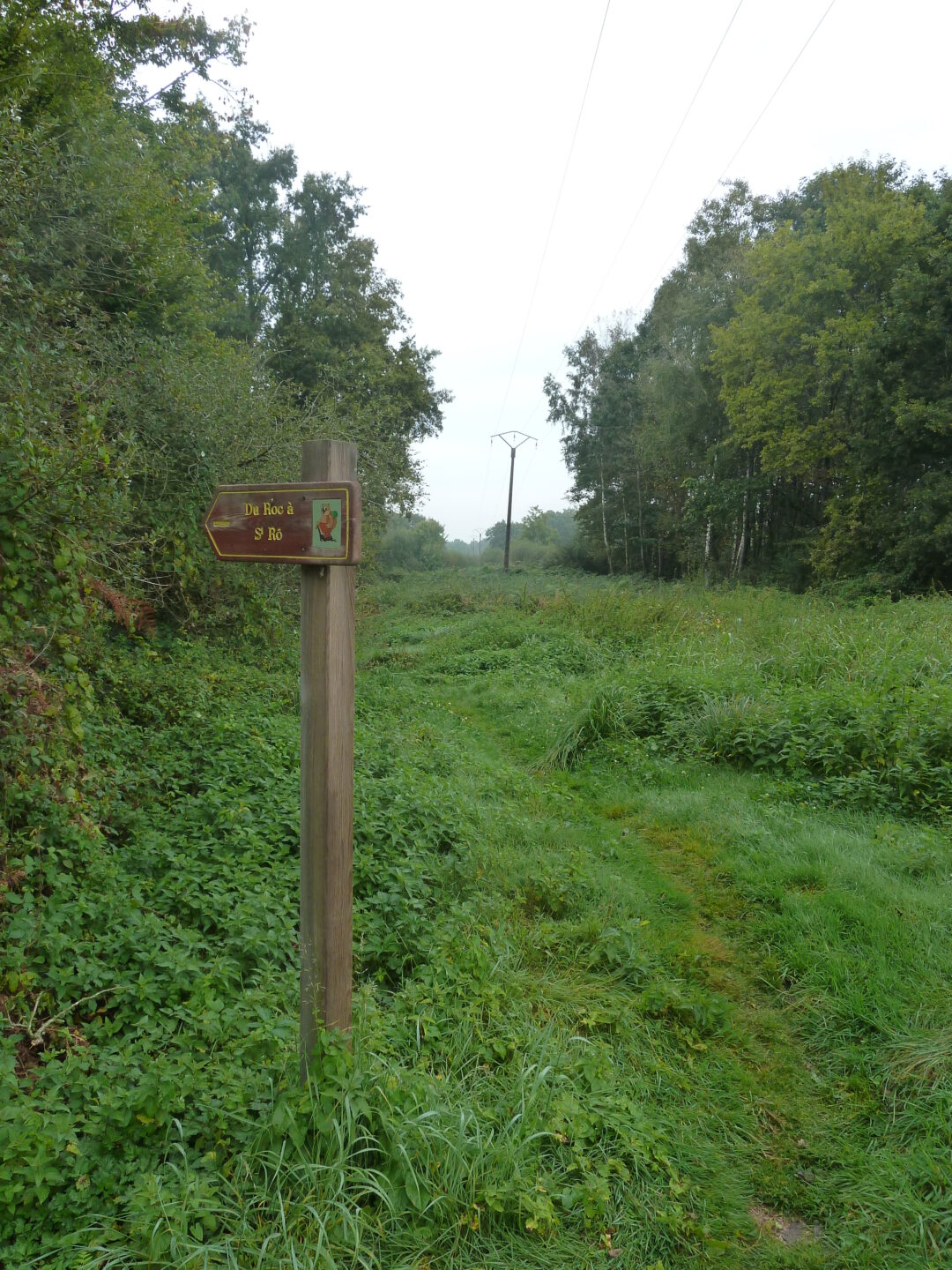 Du Roc à Saint "Rô" / Boucle 8 Lathus-Saint-Rémy Nouvelle-Aquitaine