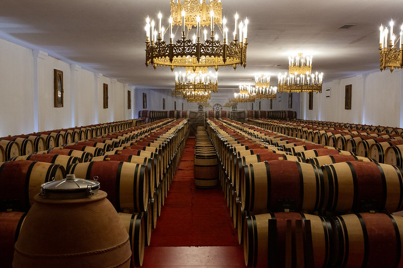 Aventure entre vignes et architecture Pessac Nouvelle-Aquitaine Aventure entre vignes et architecture Pessac Nouvelle-Aquitaine