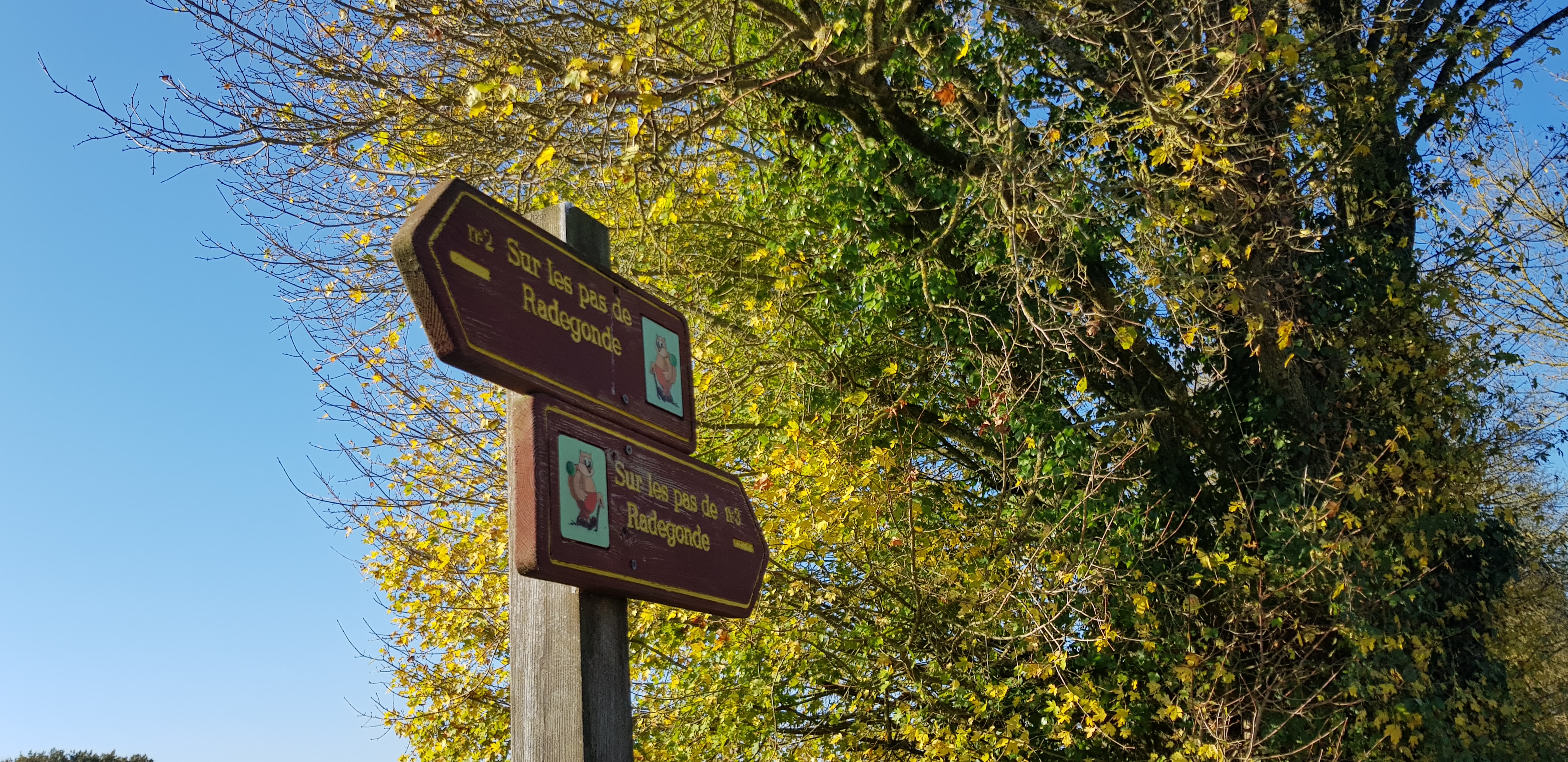 Sur les Pas de Radegonde / Boucle 9 Verrières Nouvelle-Aquitaine