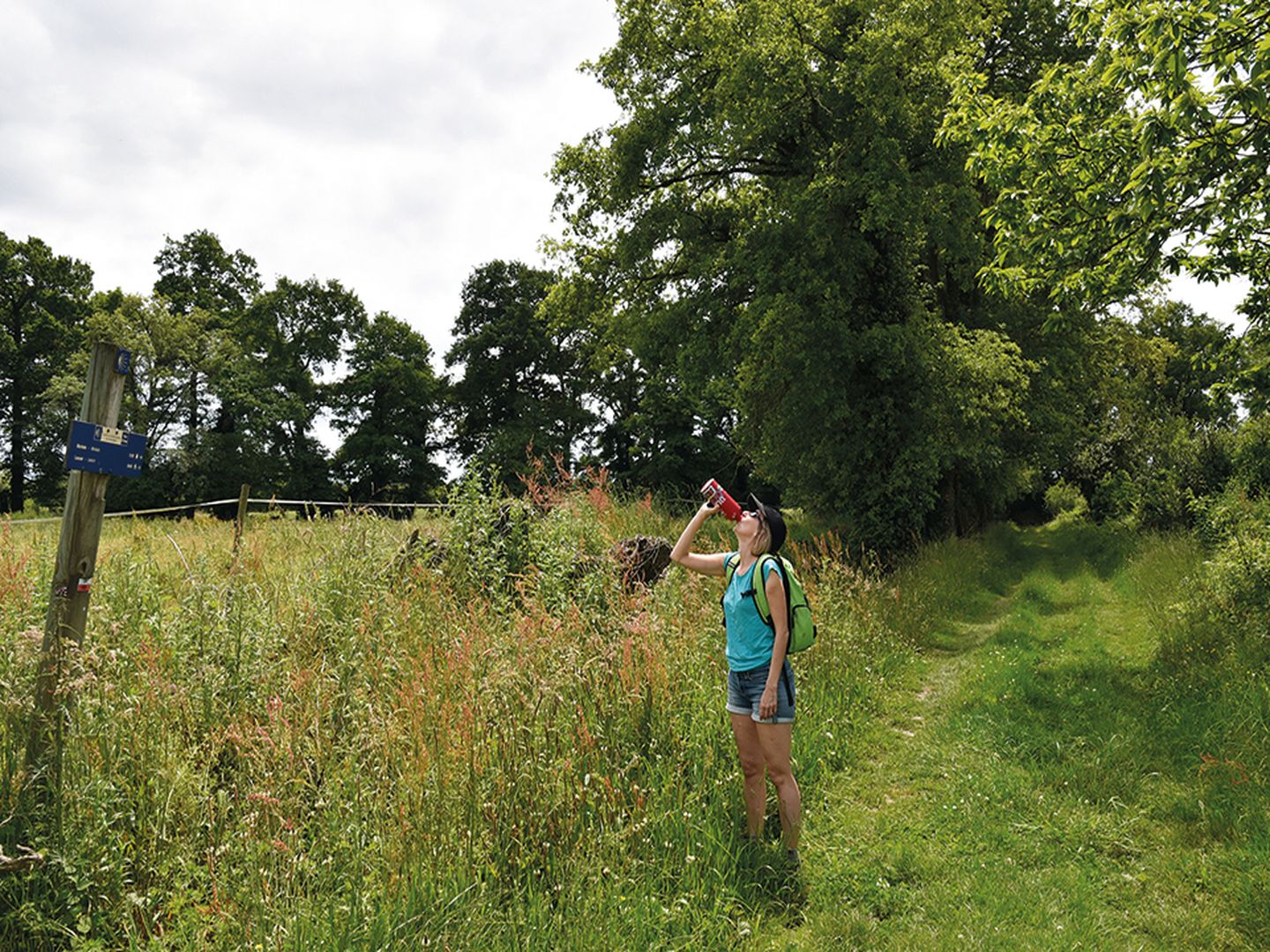 Gabaston Balade jacquaire Gabaston Nouvelle-Aquitaine