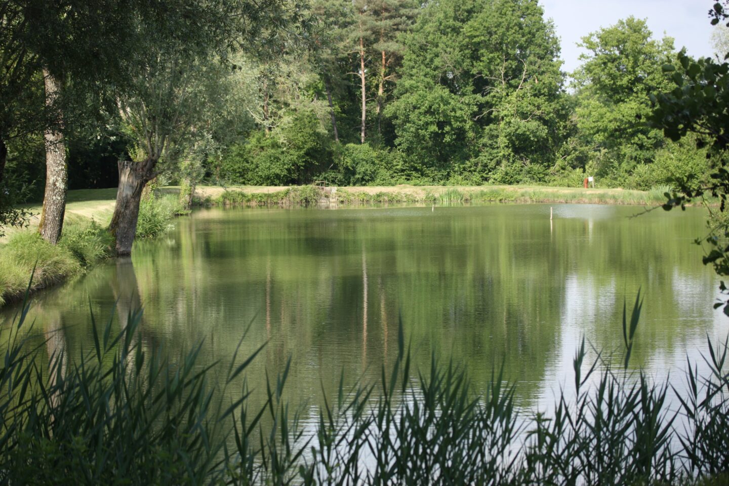 Le Sentier de l'Etang d'Arbonneau Ceaux-en-Loudun Nouvelle-Aquitaine