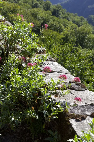 Randonnée Le sentier des deux vallées Mur-de-Barrez Occitanie