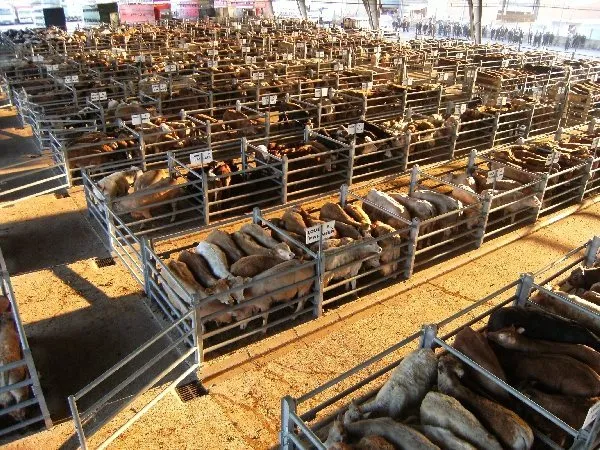 Cyclotourisme Circuit de Larqué Saint Geniez d'Olt et d'Aubrac Occitanie