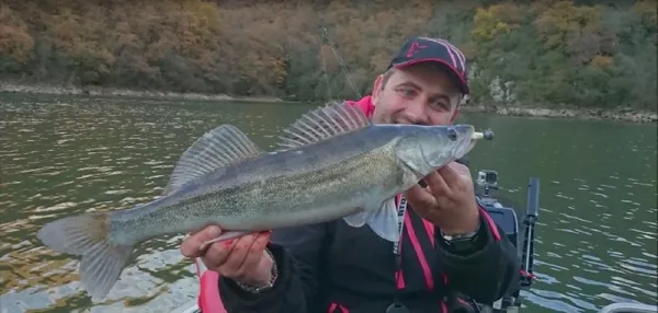 Lac de Golinhac Golinhac Occitanie