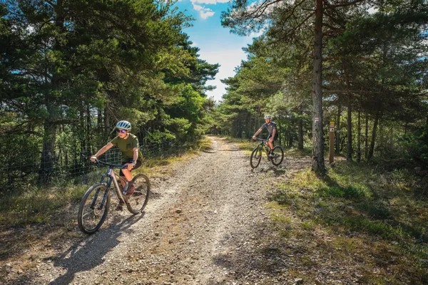 Circuit VTT De La Baraque Froide à La Blaquèrerie La Couvertoirade Occitanie