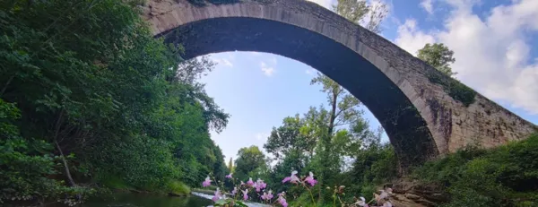 N°8 VTT Vallée du Verzolet Versols-et-Lapeyre Occitanie