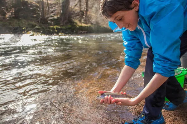 L'Aveyron à Rodez (no kill truite) Rodez Occitanie