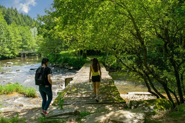 Randonnée "Vallée de la Nauze Site de Versailles" Camboulazet Occitanie