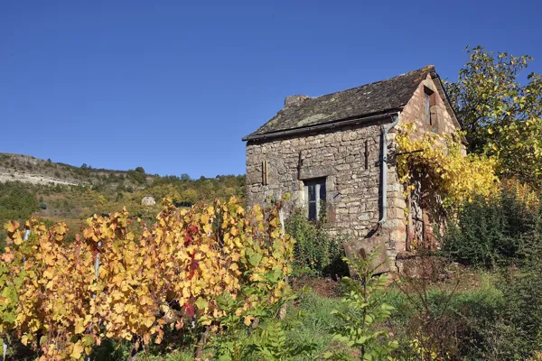 Randonnée Nuces Le sentier des terrasses Valady Occitanie