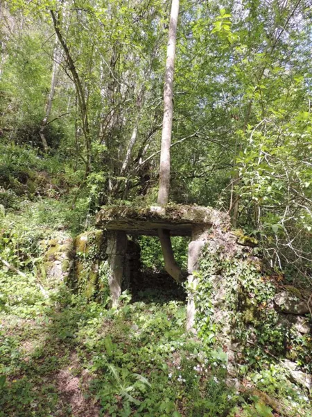 Randonnée Le chemin des Puechs Prévinquières Occitanie